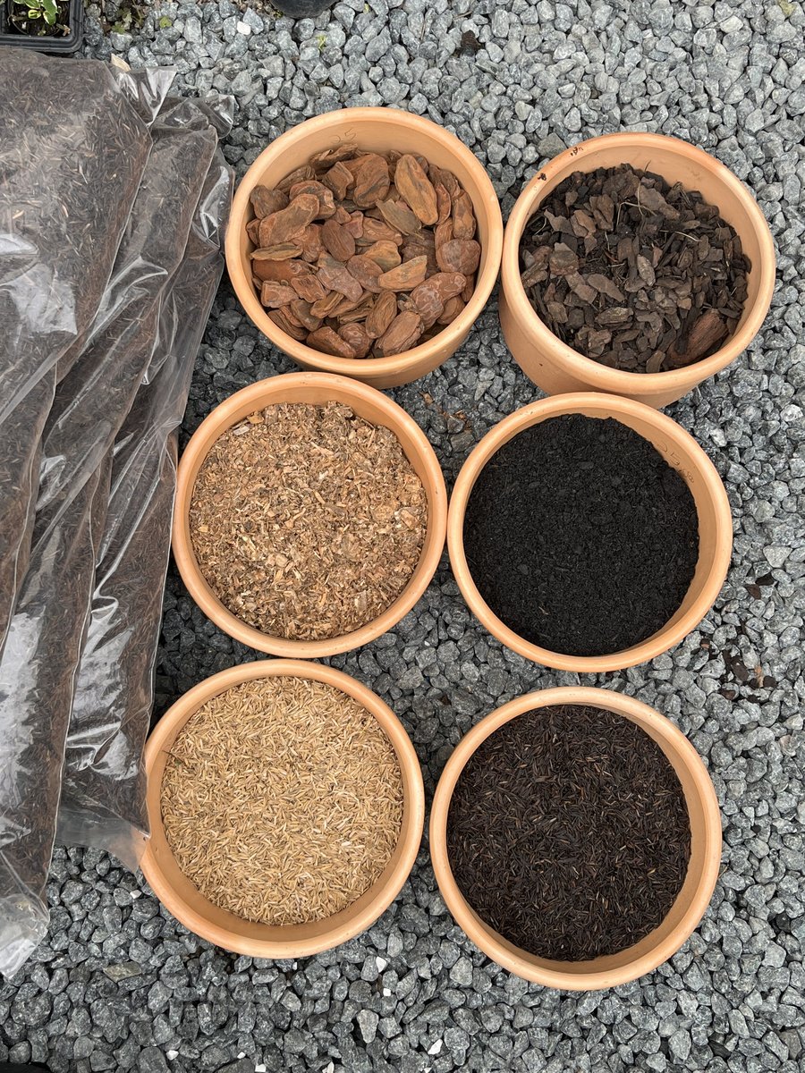 Replantio: trocar a planta de vaso