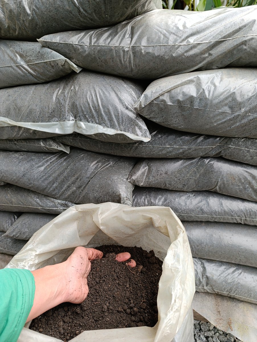 Adubação de plantas em vaso